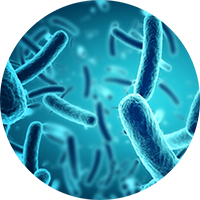 bacteria circle