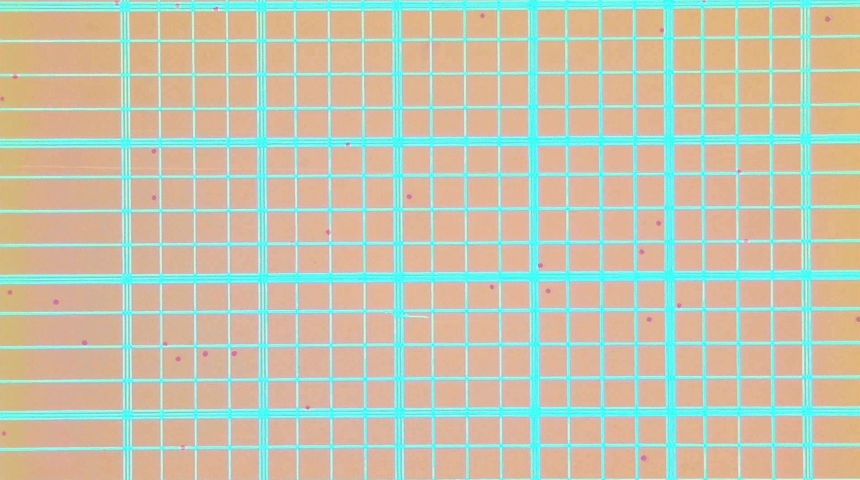 Screen Shot 2026-08-13 at 10.14.35 AM