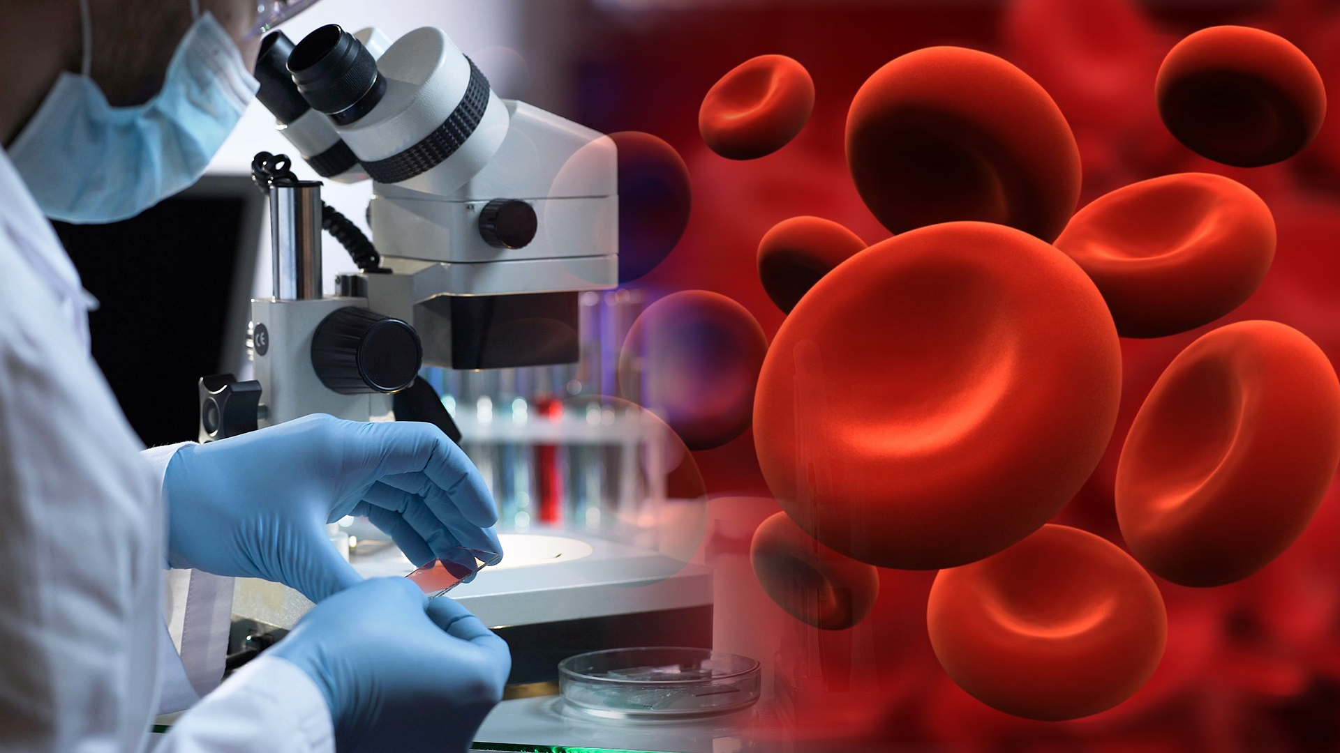 Understanding Where Hematology Variability Begins: Pre-Analytical vs Procedural Factors