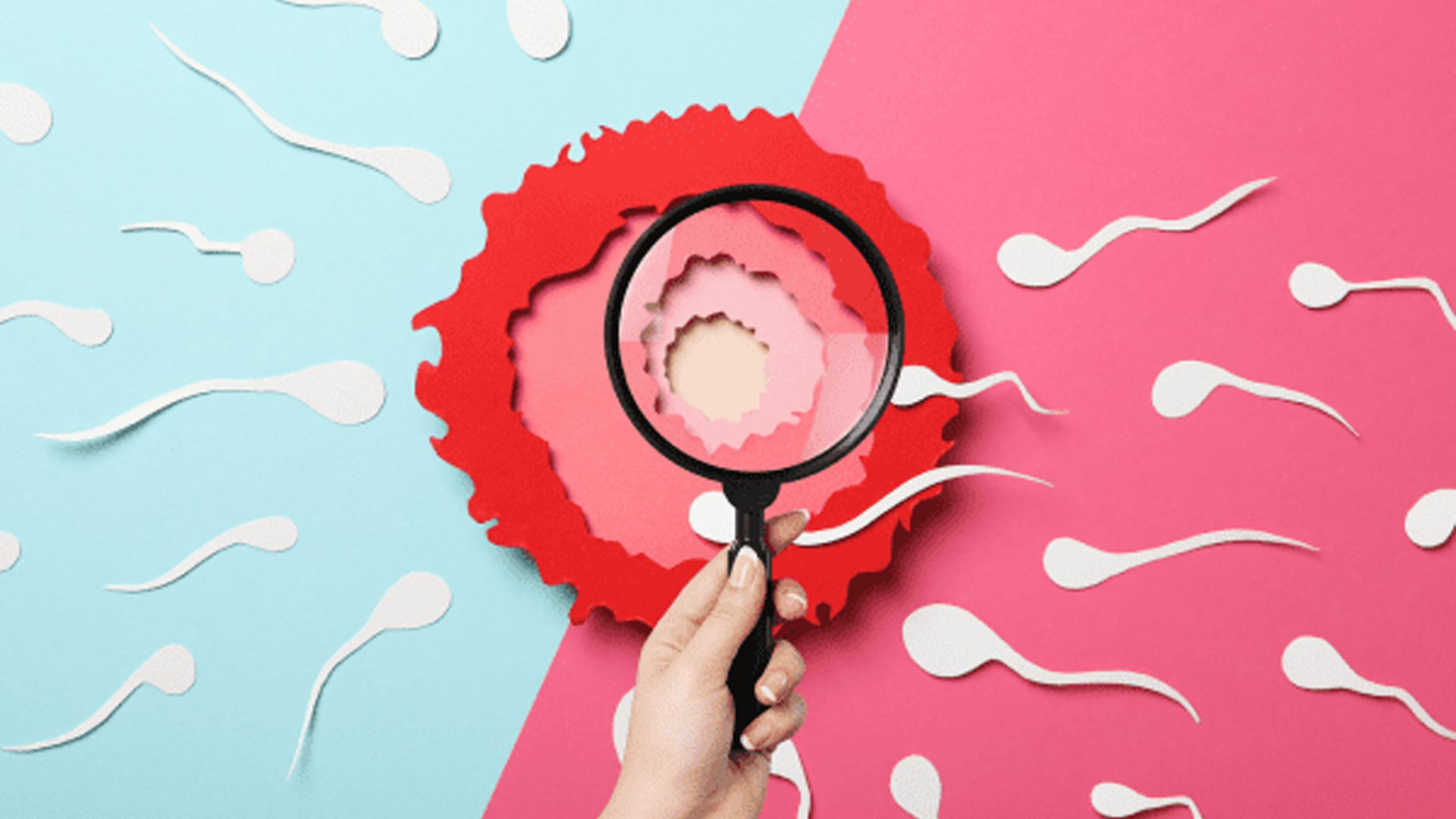 The Science Behind Sperm Vitality: Mastering the Eosin-Nigrosin Staining Technique