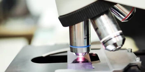 Flexi - microscopy