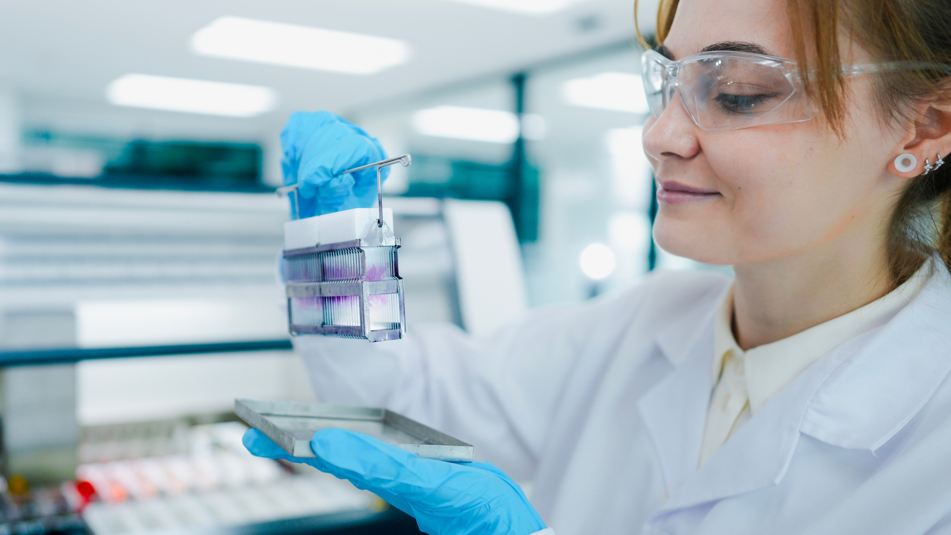 HIstology products