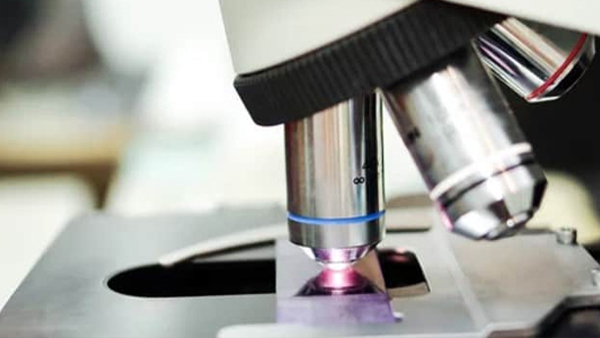 Microscopy 2
