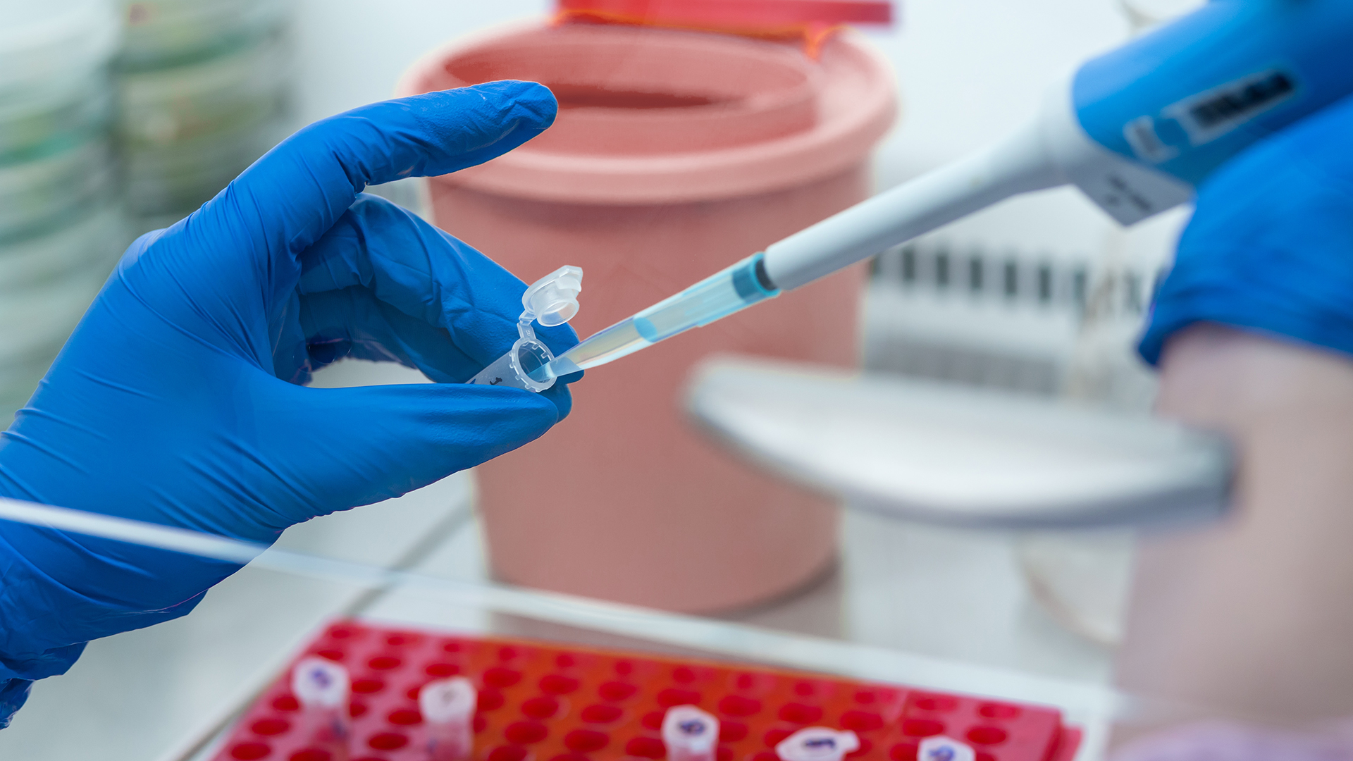 microbiology reagents