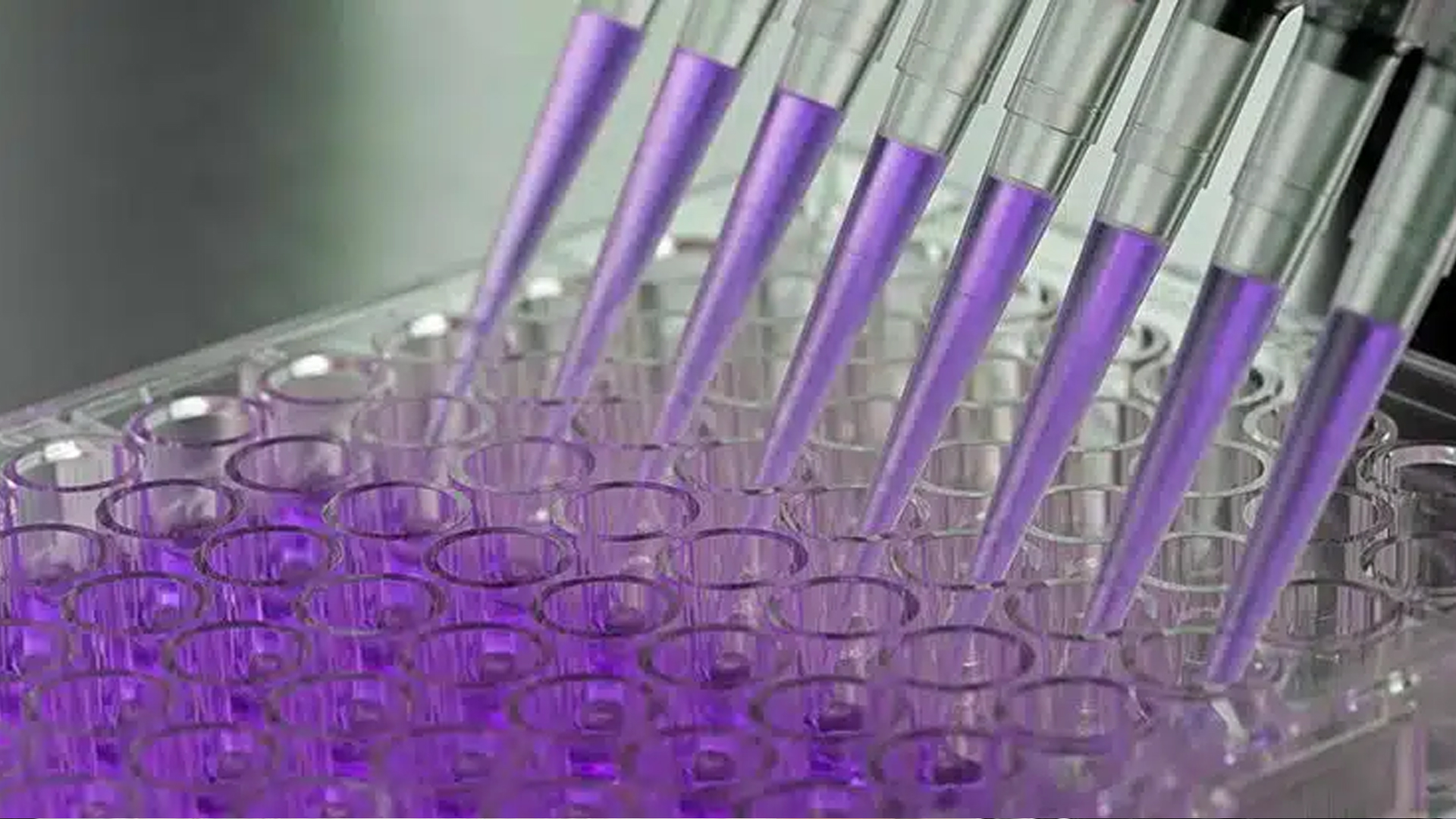 service ELISA