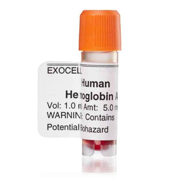 Human Hemoglobin