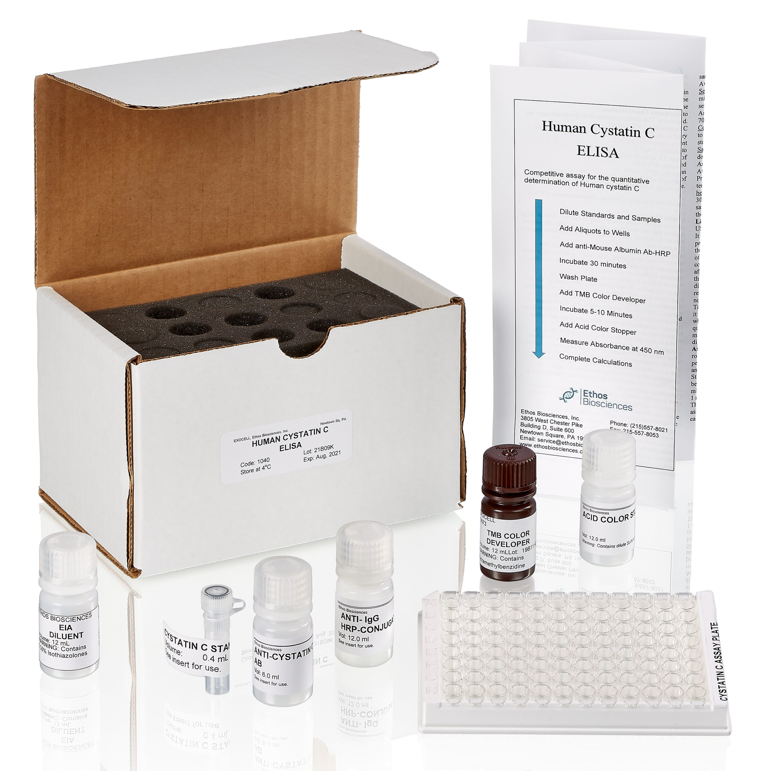 Human Cystatin C ELISA