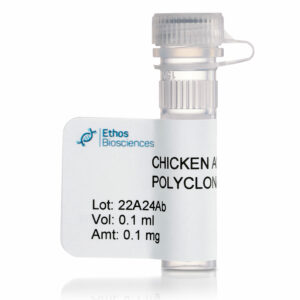 chicken anti-albumin polyclonal antibody