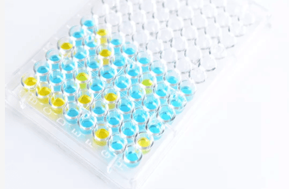 Immunoassays