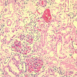 7009, Eosin Phloxine