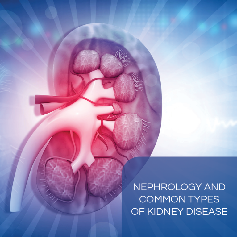 Illustrated kidney on a patterned blue background