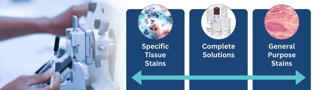 EB.GR .WEB .Banner.Histology Product Promotions 2025